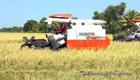 PHOTO: President Jovenel Moise improves rice harvesting in artibonite haiti