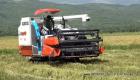 PHOTO: President Jovenel Moise improves rice harvesting in Artibonite haiti